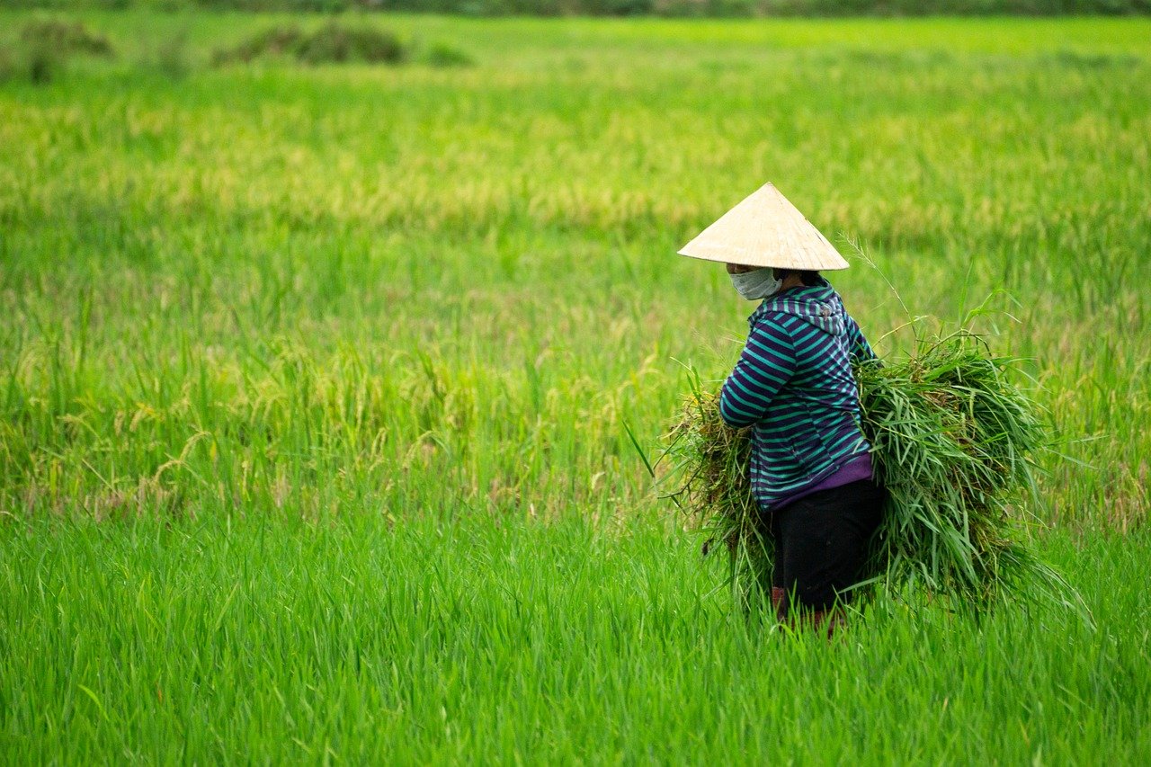 Protecting Biodiversity Through Sustainable Farming Practices